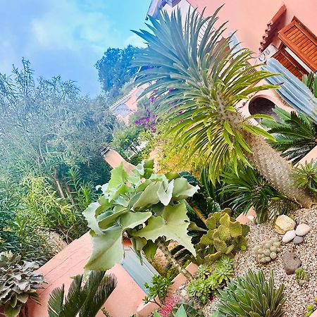 Il Giardino Davanti Al Mare 오로세 외부 사진