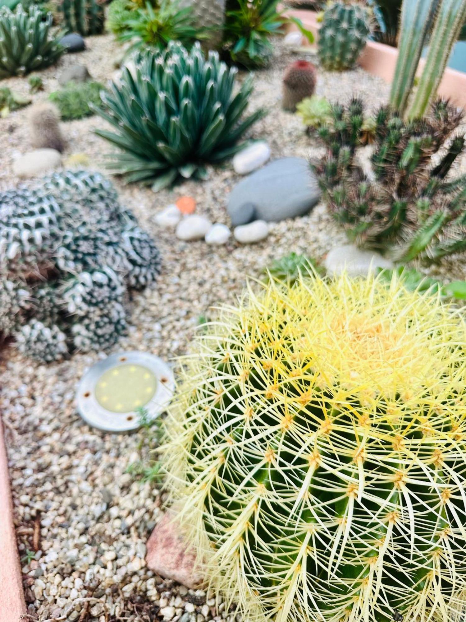 Il Giardino Davanti Al Mare 오로세 외부 사진
